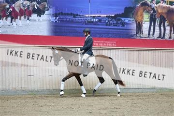 181887_mtp_04_R62_8396.JPG