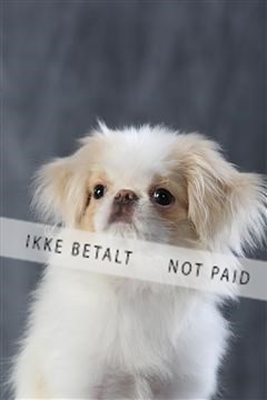 128239_le_kort_ 01_0115.JPG