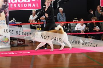 6068_ma_05_IMG_5668.JPG