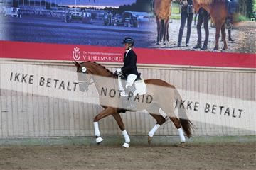 181887_mtp_02_R62_7423.JPG