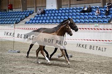 181754_kbb_01_Z093529.JPG