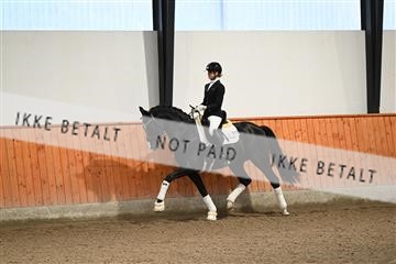 173274_kuo_01_DSC_7846.JPG