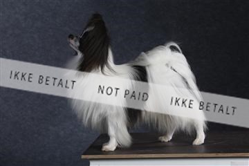 132082_le_ 01_IMG_1573.JPG