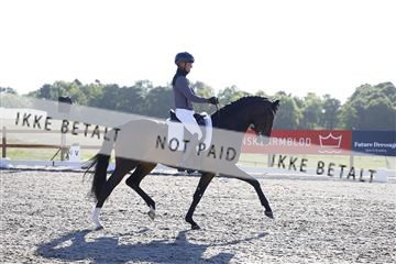 181449_kbb_01_6II8649.JPG