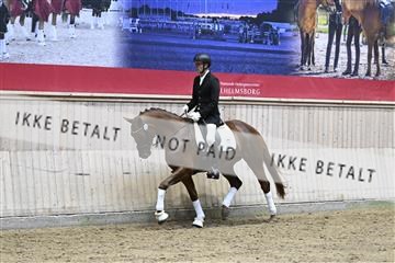 182241_kbb_01_Z093690.JPG