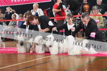 6068_ma_05_IMG_5549.JPG