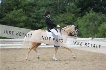 156196_nn_01_IMG_6454.JPG