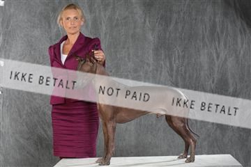 130054_le_ 03_0216.JPG