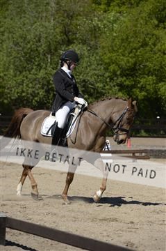 139815_ms_01__MS27175.JPG