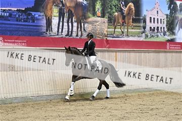 182241_kbb_01_Z093209.JPG