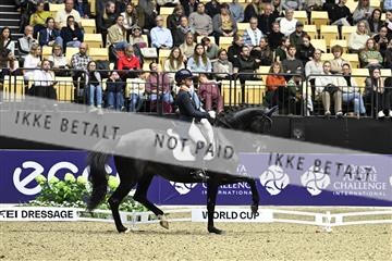 182194_kbb_03_Z092648.JPG