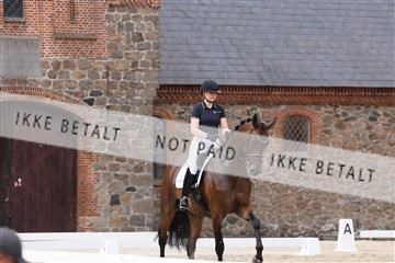 181698_BC_01_00247.JPG