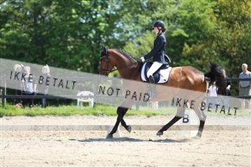 168732_mtp_01_3M5A7455.JPG