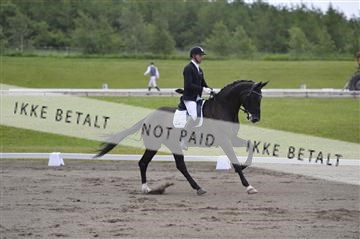 140040_abo_01__AB17526.JPG
