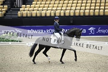 182194_kbb_01_Z095314.JPG