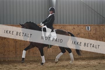 139206_kl_1_8M1Q5443.JPG