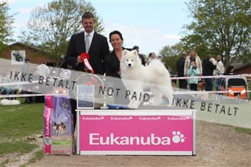 134871_ms_04_IMG_0426.JPG