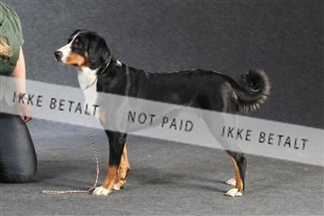 132082_le_ 01_IMG_1345.JPG