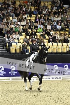 182194_kbb_03_Z092477.JPG