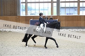 182176_kbb_01_Z094409.JPG