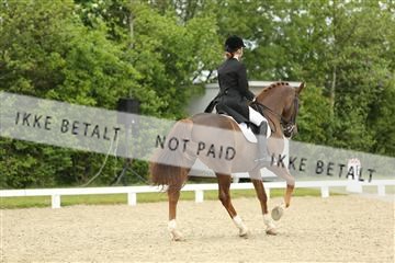 139835_sg_01_IMG_7353.JPG