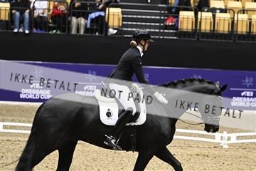 182194_kbb_03_Z091186.JPG
