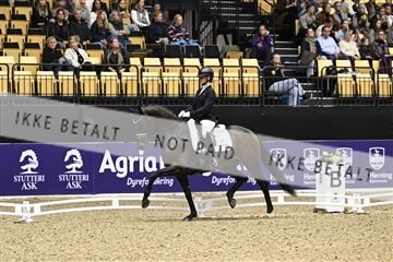182194_kbb_03_Z090573.JPG