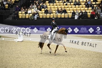 182194_kbb_02_Z098568.JPG