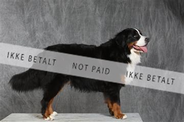 130054_le_ 03_0376.JPG