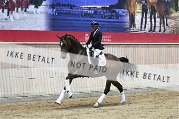 182241_kbb_01_Z093295.JPG
