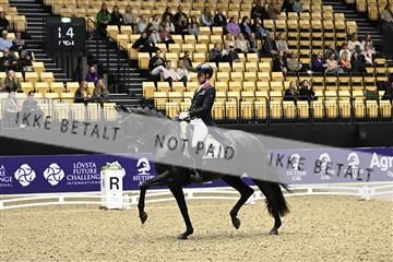 182194_kbb_03_Z090147.JPG