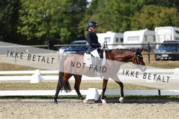 181894_mtp_05_R62_4770.JPG