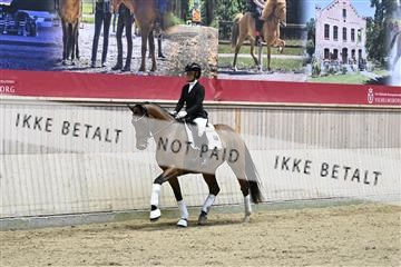 182241_kbb_01_Z093042.JPG