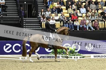 182194_kbb_03_Z092744.JPG