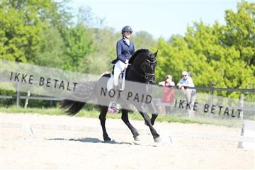 168732_mtp_01_3M5A7857.JPG