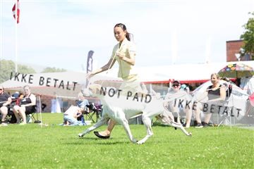 181564_rin_02_R62_1881.JPG