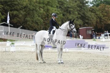181923_mtp_04_R62_8378.JPG