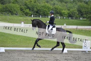 140040_abo_01__AB17060.JPG