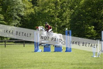 139815_ms_01__MS27427.JPG