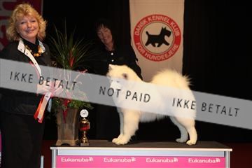 126827_tl_02_IMG_2840.JPG