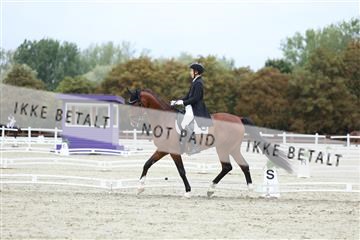 181923_mtp_01_R62_6802.JPG