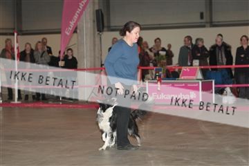 133496_tl_01_IMG_1773.JPG