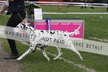 134871_ms_04_IMG_1805.JPG