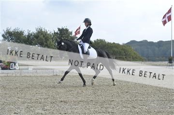 169624_kbb_01__KBB8390.JPG