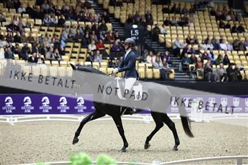 182194_mlm_02_R62_0651.JPG