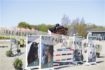 181332_kbb_01_6II3628.JPG