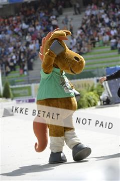 144462_bc_21__BC14901.JPG