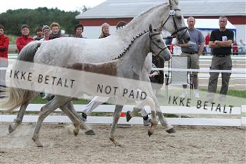 125406_sc_01_IMG_2148.jpg