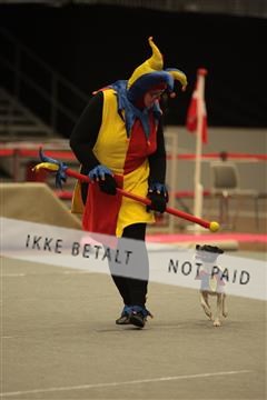 6068_sme_04_IMG_3491.JPG