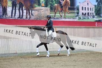 181887_mtp_04_R62_8399.JPG